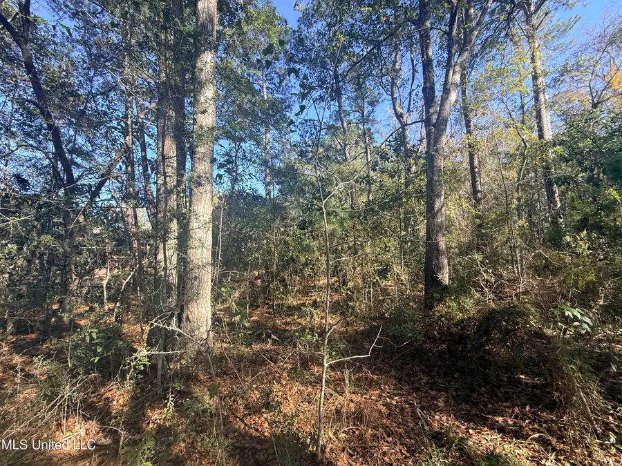 3601 Ling Street, Gautier, MS 39553 - #2