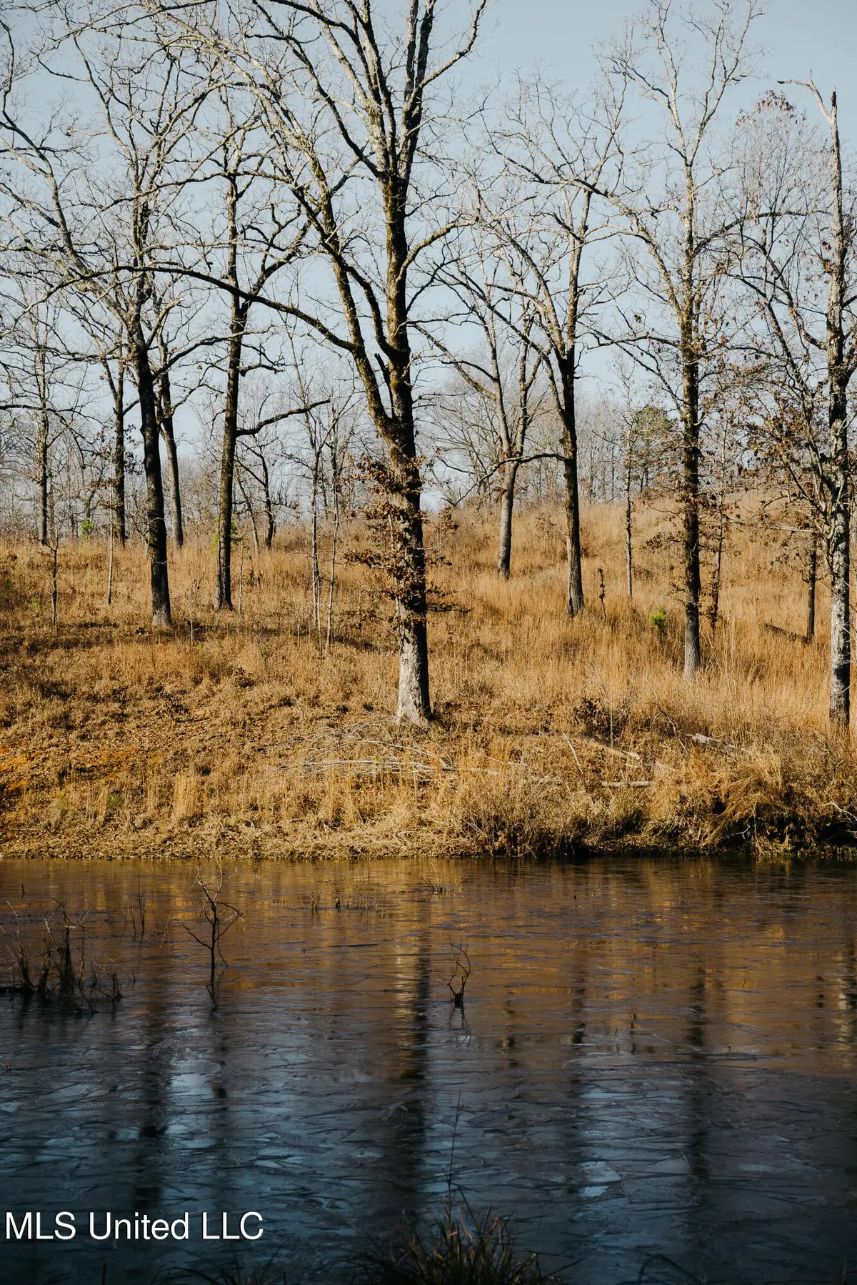 County Road 70, Coffeeville, MS 38922 - #1