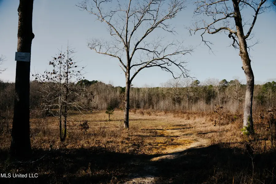 County Road 70, Coffeeville, MS 38922 - #2