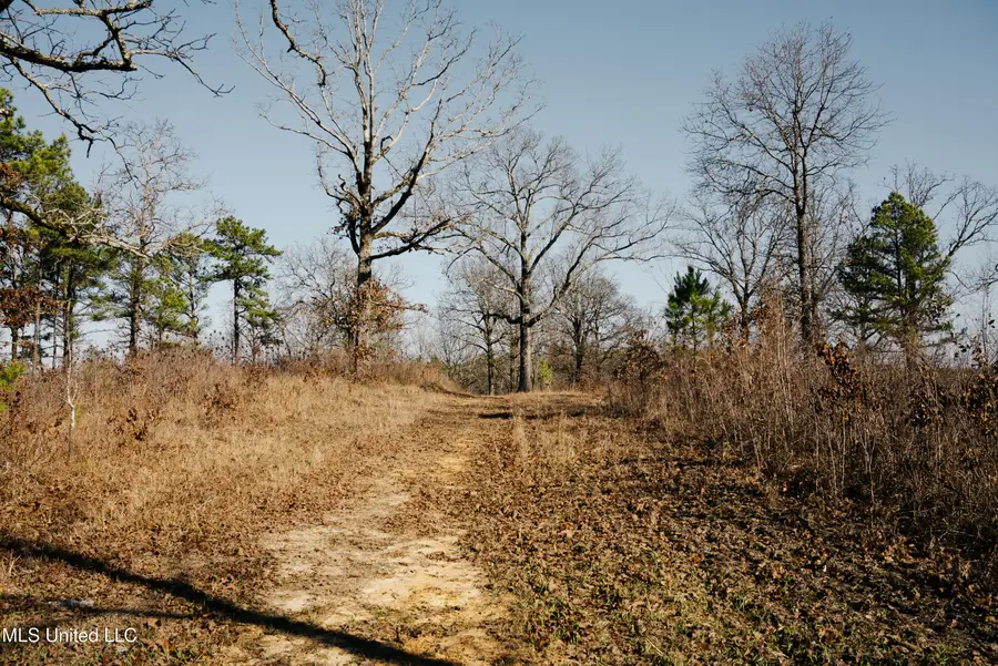 County Road 70, Coffeeville, MS 38922 - #3