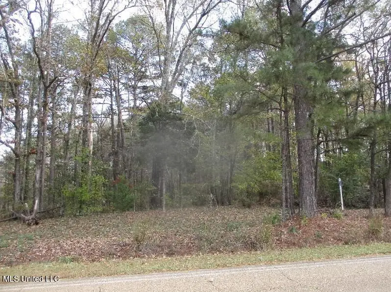 00 Terry Road, Terry, MS 39170 - Image #1