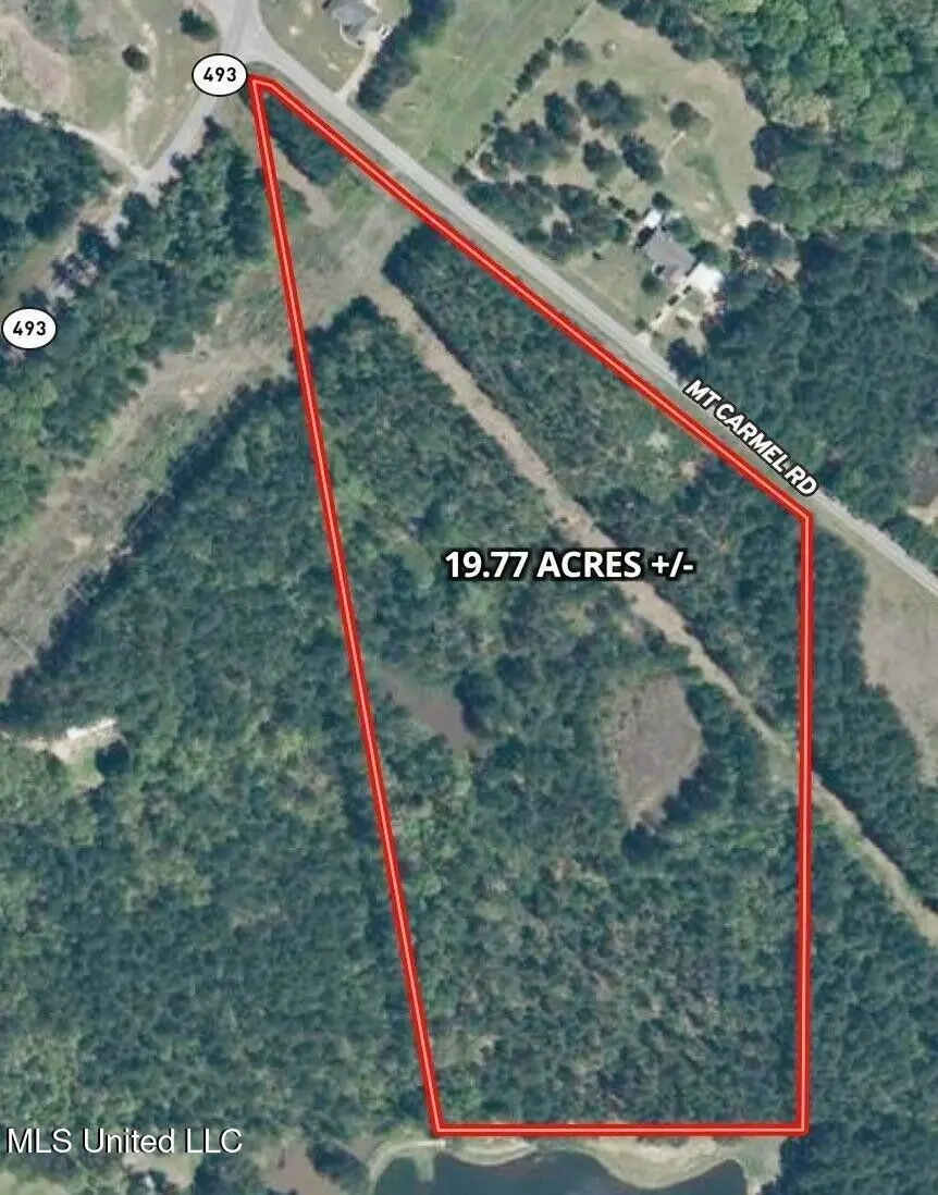 0019 Mount Carmel Road, Daleville, MS 39326 - #3