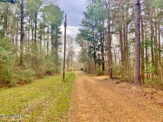 3037 Brandi Road, Summit, MS 39666 - #3