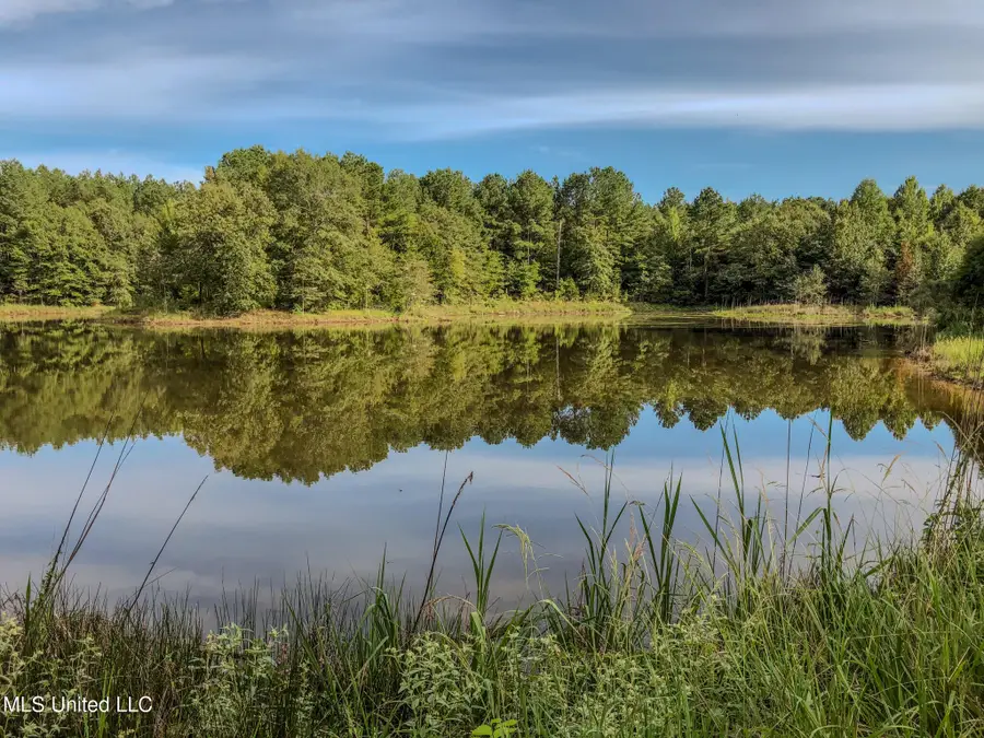 Ms-7, Water Valley, MS 38965 - #2