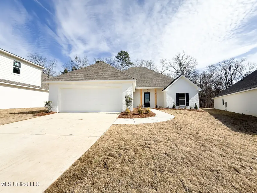 346 Oakville Circle, Brandon, MS 39047 - Image #2