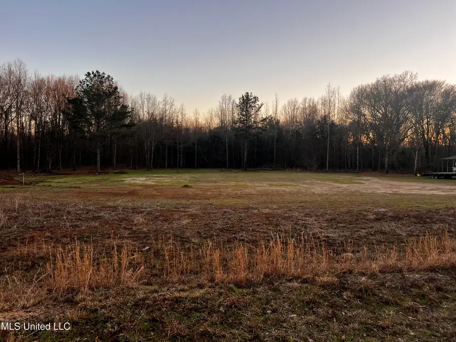 183 W Central Boulevard, Flora, MS 39071 - Image #3