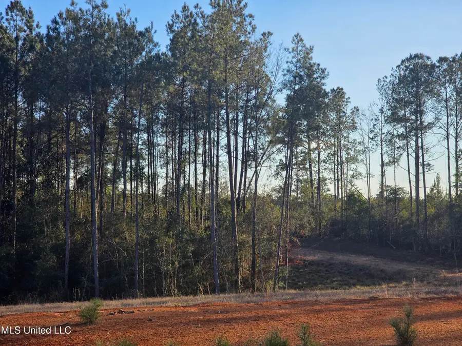 2094 S West Topisaw, Summit, MS 39666 - #2