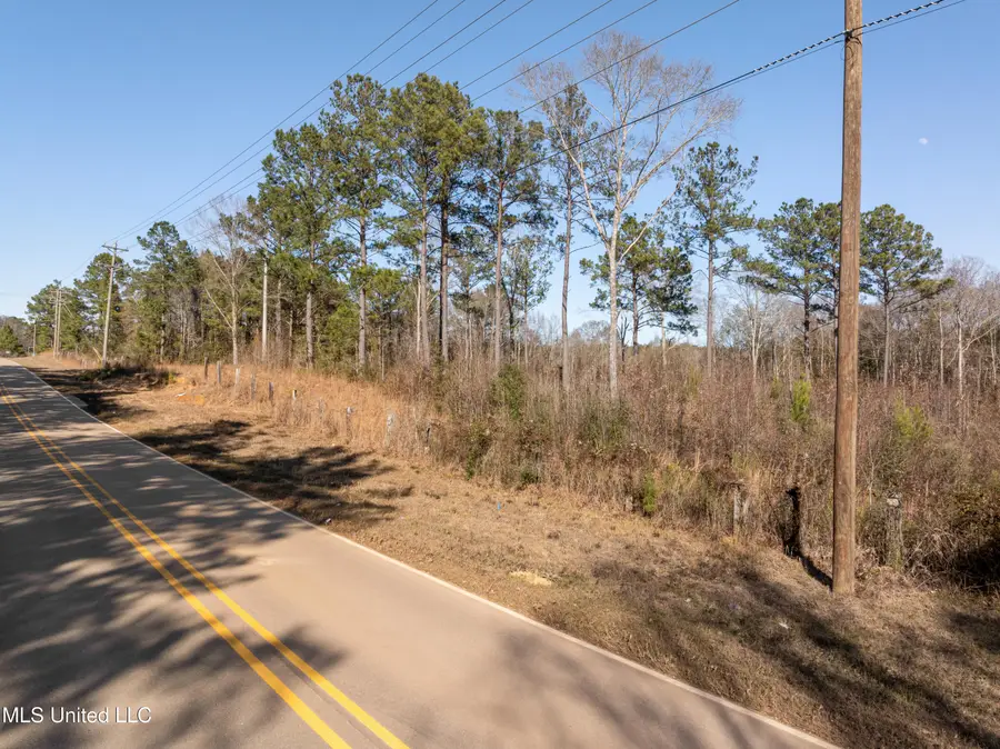 5.5 Acres Lynn Ray Road, Petal, MS 39465 - Image #2
