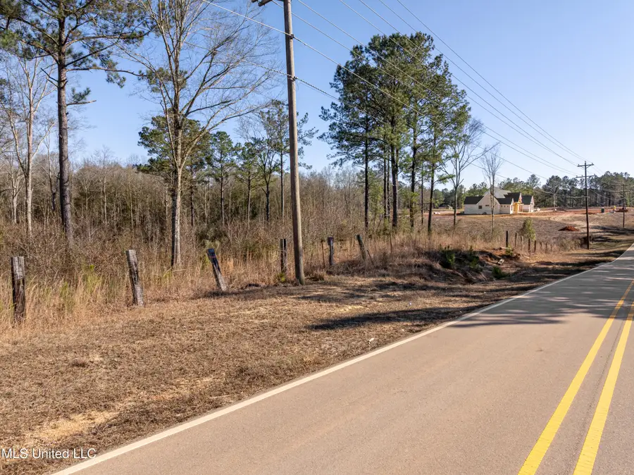 5.5 Acres Lynn Ray Road, Petal, MS 39465 - Image #3