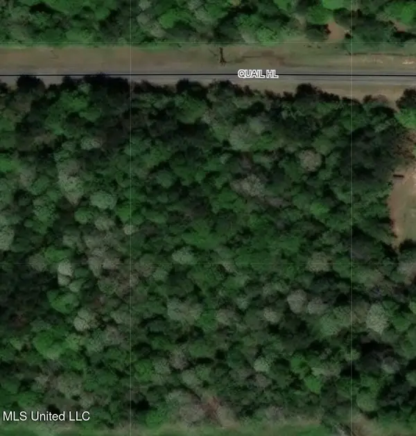 0 Quail Hill Road, Brandon, MS 39042