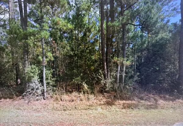 4662 Thirty Fourth Street, Bay Saint Louis, MS 39520