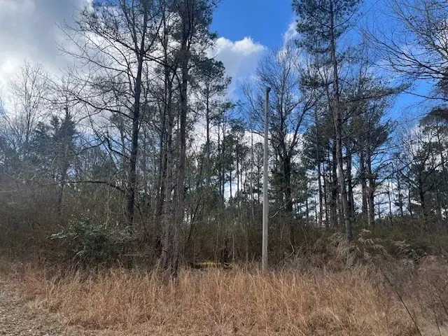 1089 Guynes Lane, Crystal Springs, MS 39059 - Image #3