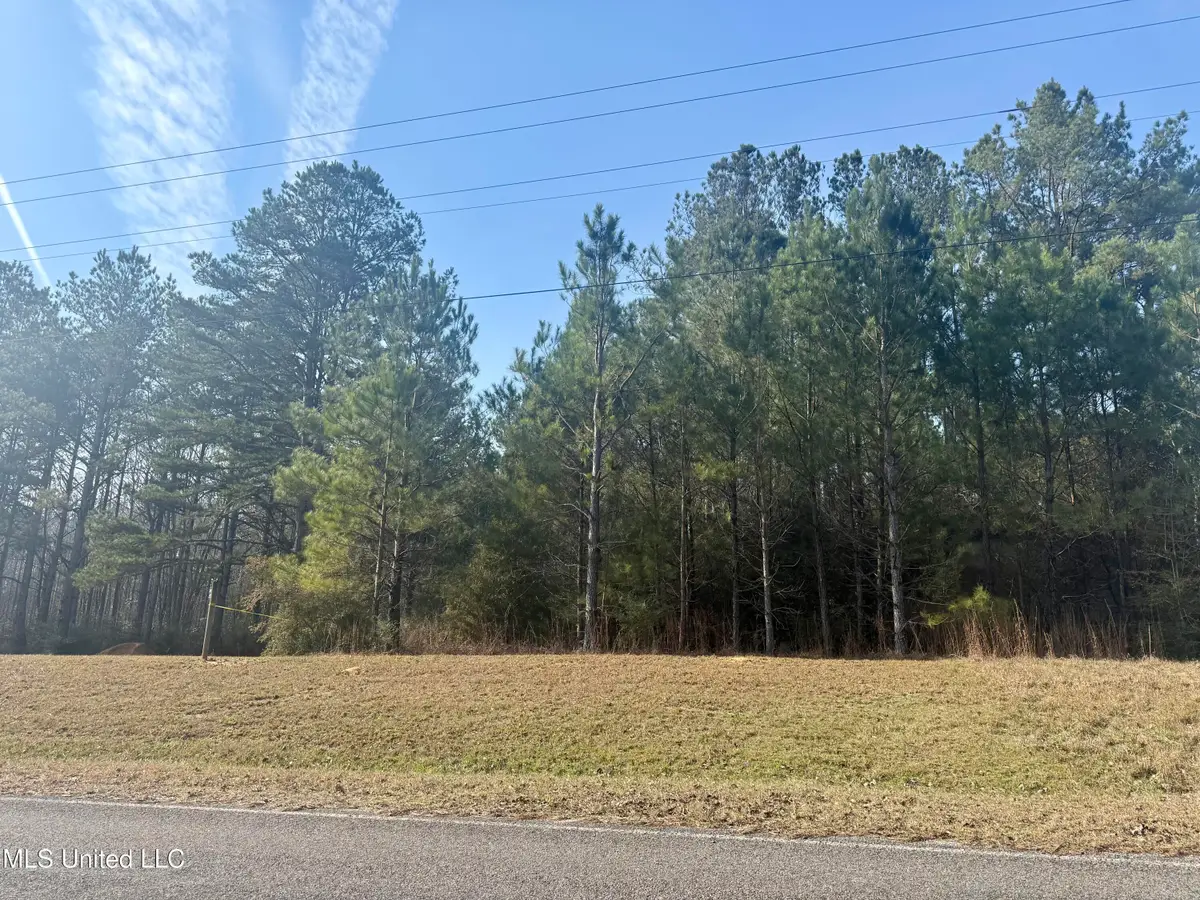 Givens Mullins Road, Jayess, MS 39641 - #1