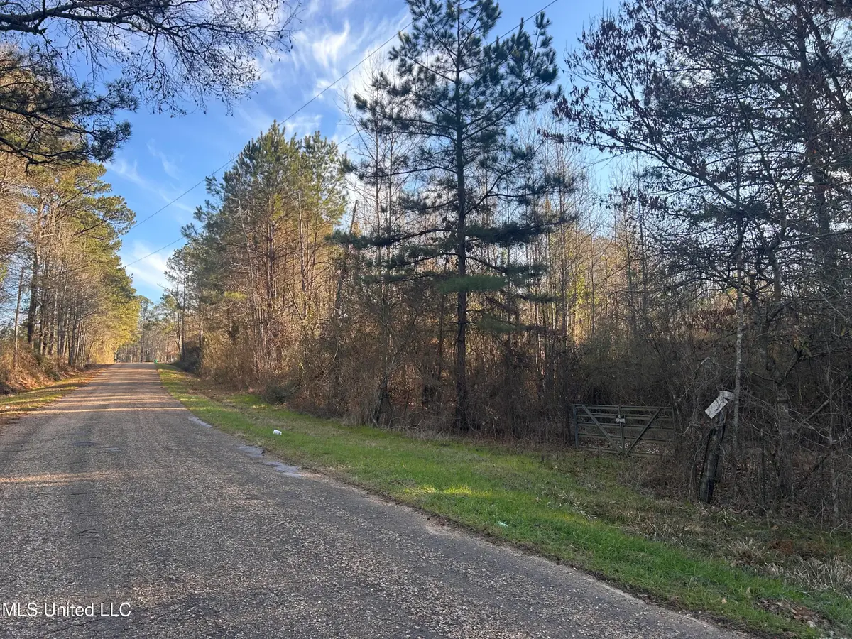 NE Furrs Mill Drive, Wesson, MS 39191 - #1