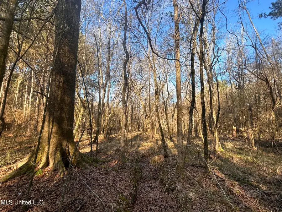NE Furrs Mill Drive, Wesson, MS 39191 - #3