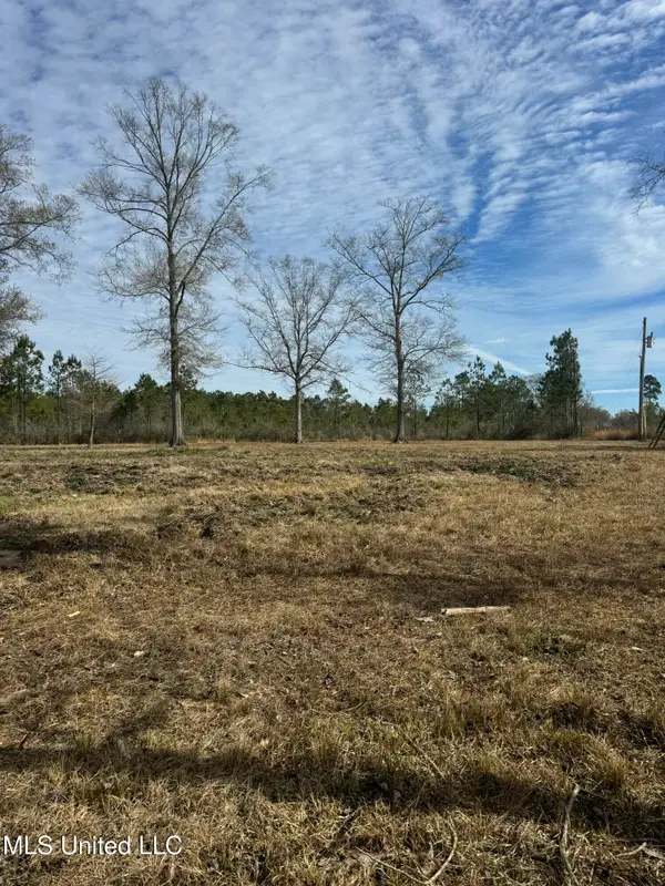 51 L Jack Stewart Road, Poplarville, MS 39470