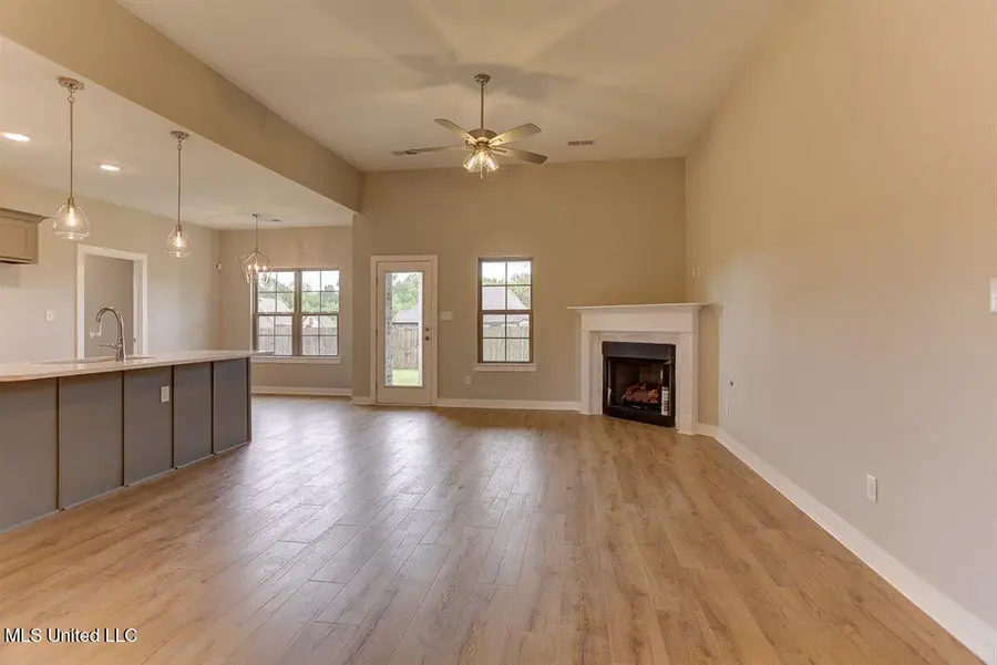 7735 Carmel Cove, Walls, MS 38680 - #3