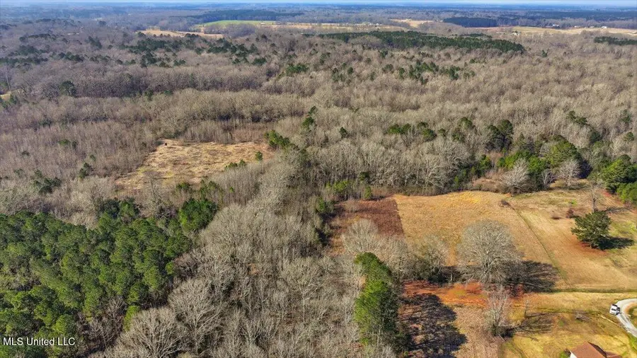 0 Jones Lane, Pelahatchie, MS 39145 - #3