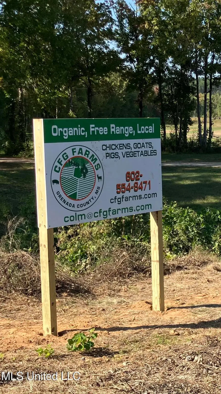 1750 Hendrix Road, Coffeeville, MS 38922 - #3