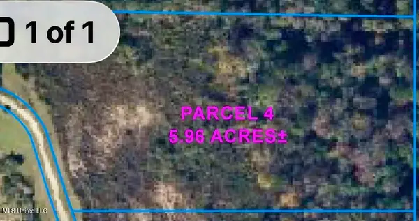 Parcel 4 R Thompson Road, Lumberton, MS 39455