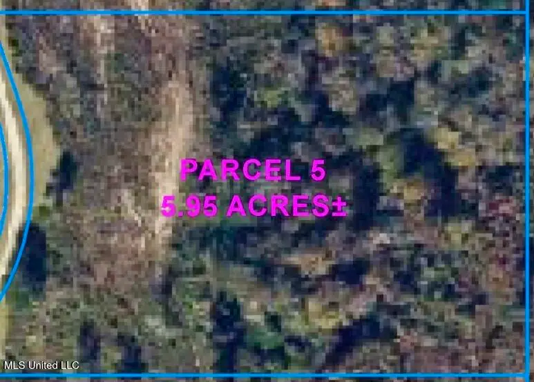 Parcel 5 R Thompson Road, Lumberton, MS 39455 - #1