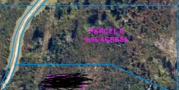 Parcel 6 R Thompson Road, Lumberton, MS 39455