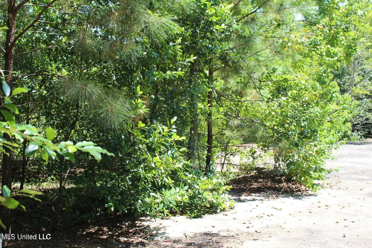 15.4 Acres Lloyd Eubanks Road, Lucedale, MS 39452 - #1