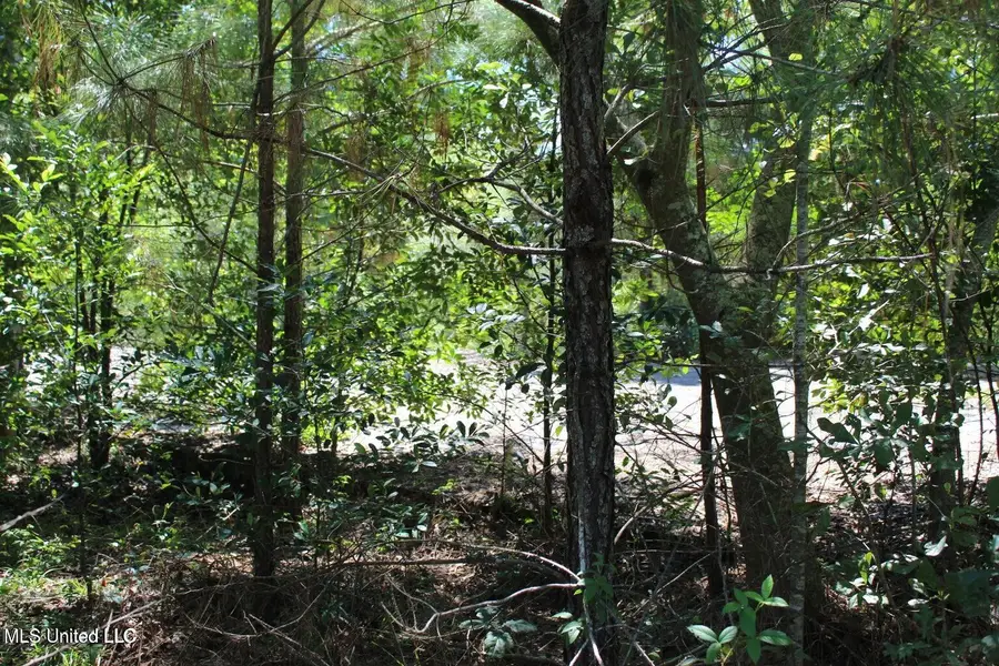 15.4 Acres Lloyd Eubanks Road, Lucedale, MS 39452 - #3