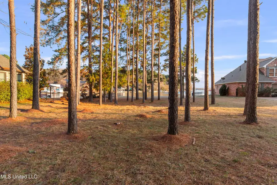 155 Pembroke Circle, Madison, MS 39110 - #3