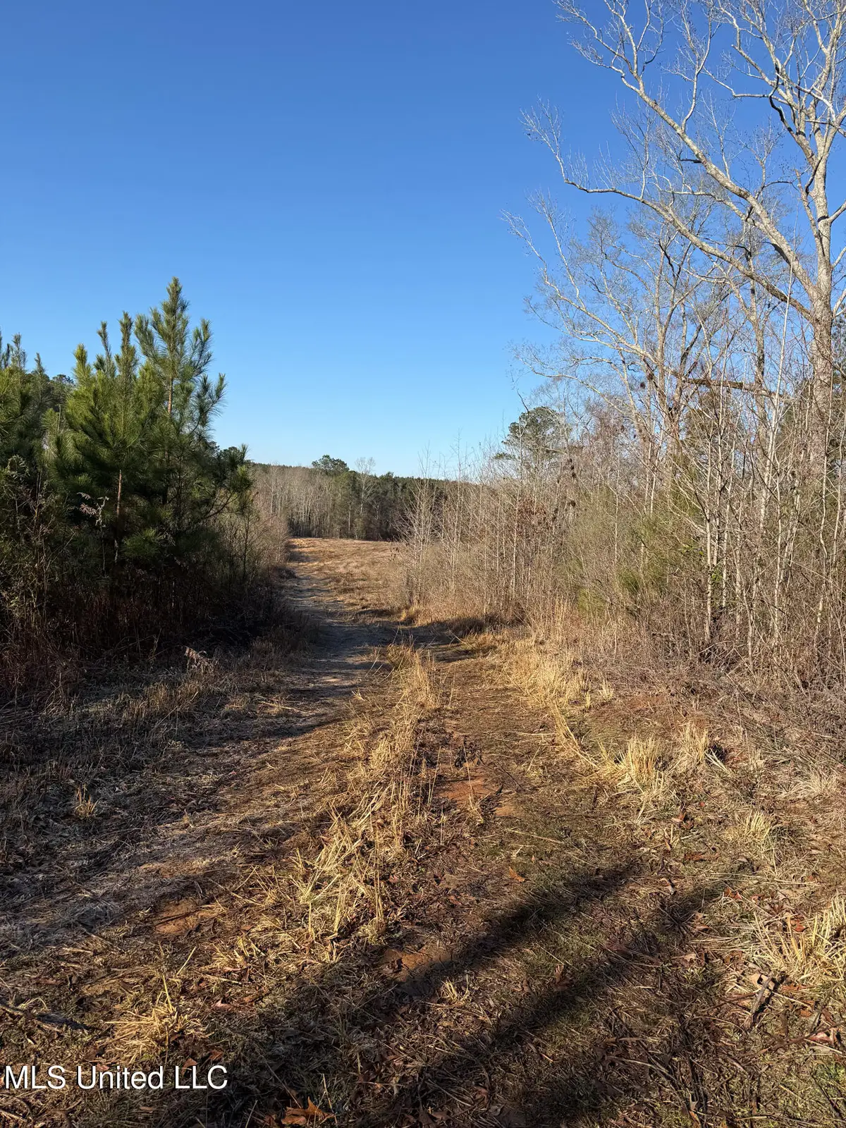 5547 Rocky Point Road, Carthage, MS 39051 - Image #1