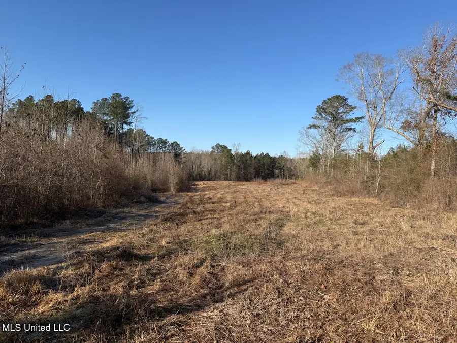 5547 Rocky Point Road, Carthage, MS 39051 - Image #2