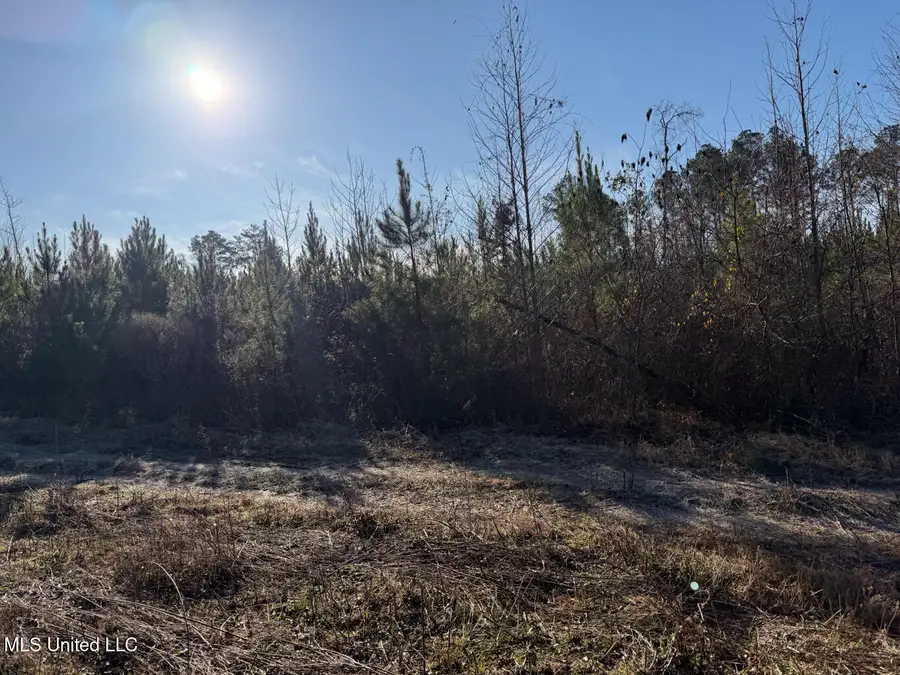 5547 Rocky Point Road, Carthage, MS 39051 - Image #3