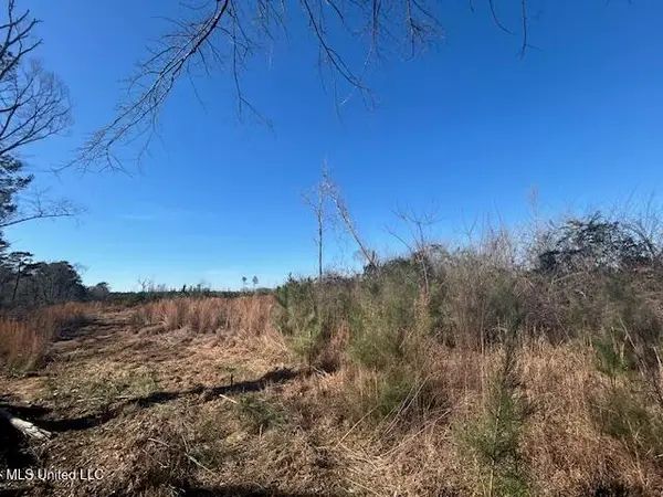 Robert Jones Road, Summit, MS 39666