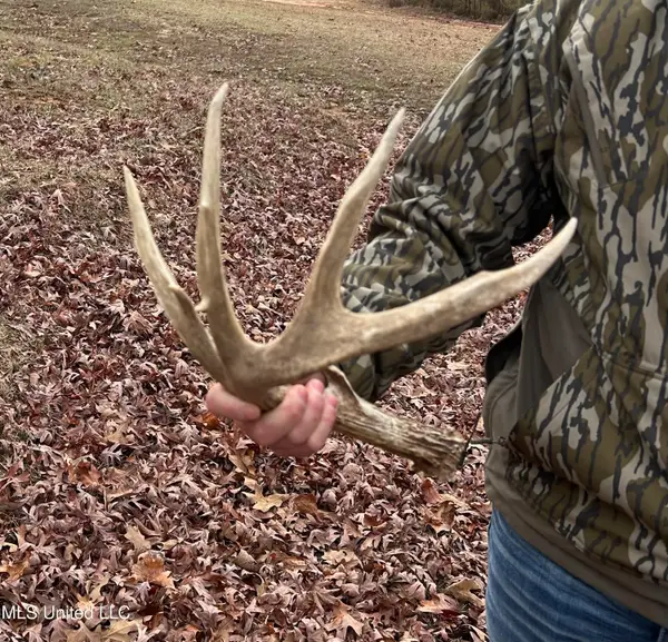 Bagasha Road, Vaiden, MS 39176