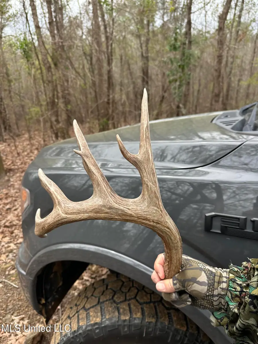 Bagasha Road, Vaiden, MS 39176 - #2