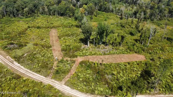 5 Highway 35, Walnut Grove, MS 39189