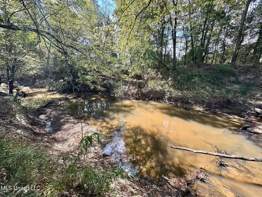 5 Highway 35, Walnut Grove, MS 39189 - Image #2