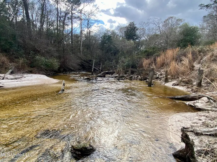 N Benville Road, Picayune, MS 39466 - #2