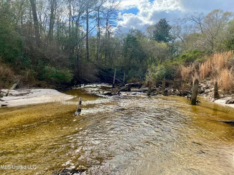 N Benville Road, Picayune, MS 39466 - #3