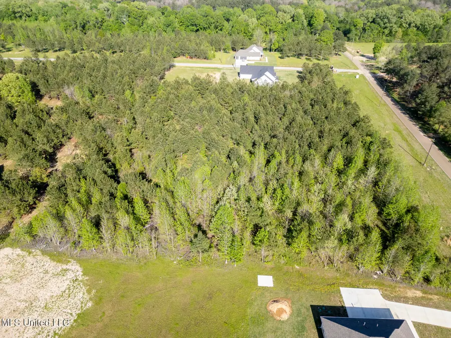 Stout Road, Canton, MS 39046 - #3