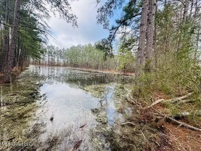 Mount Carmel Church Road, Foxworth, MS 39483 - #3