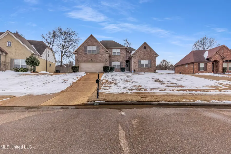 6081 Coleman Road, Olive Branch, MS 38654 - #2