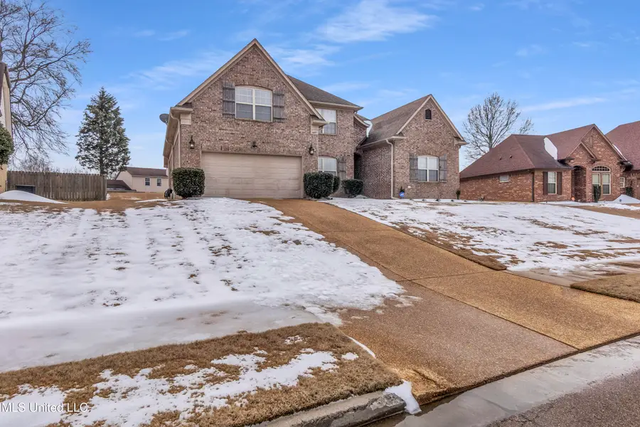 6081 Coleman Road, Olive Branch, MS 38654 - #3