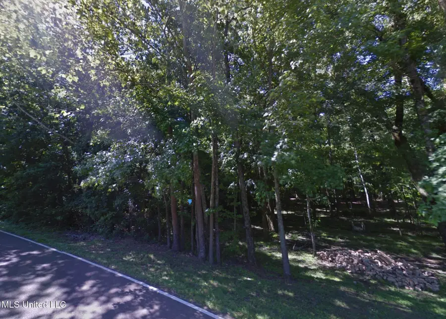 753 S Thunderbird Drive, Hernando, MS 38632 - #2