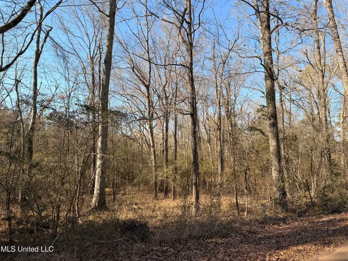 Ms-28, Hazlehurst, MS 39083 - #1