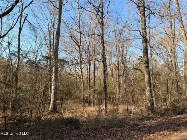 Ms-28, Hazlehurst, MS 39083