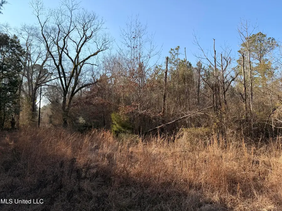 Ms-28, Hazlehurst, MS 39083 - #2