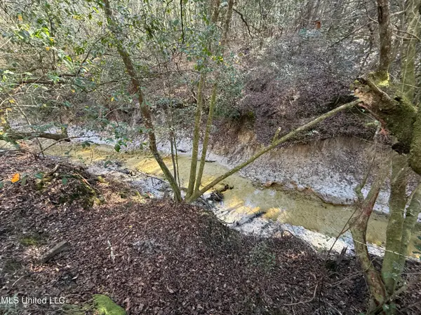 38 Ac +/- Indian Hill Road, Richton, MS 39476