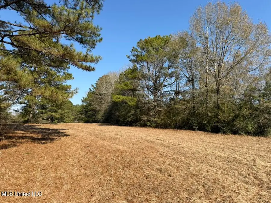 Cheramie Road, Sandy Hook, MS 39478 - #3