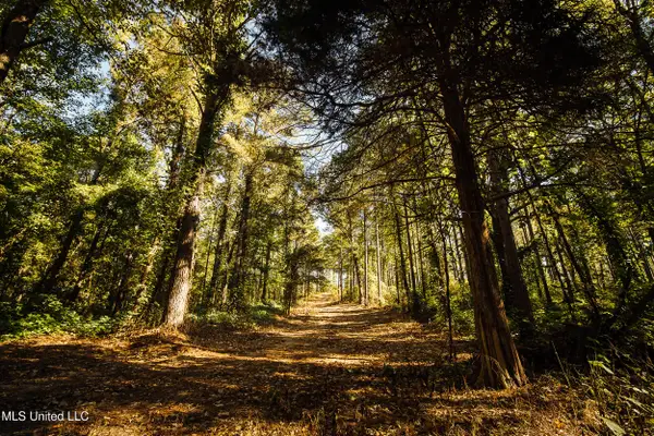 Mississippi 4, Holly Springs, MS 38635